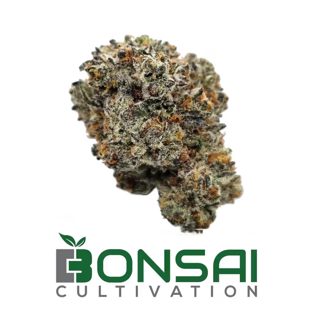 Bonsai