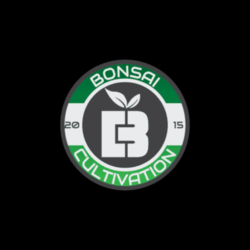 Bonsai Bulk Flower - Carbon Fiber