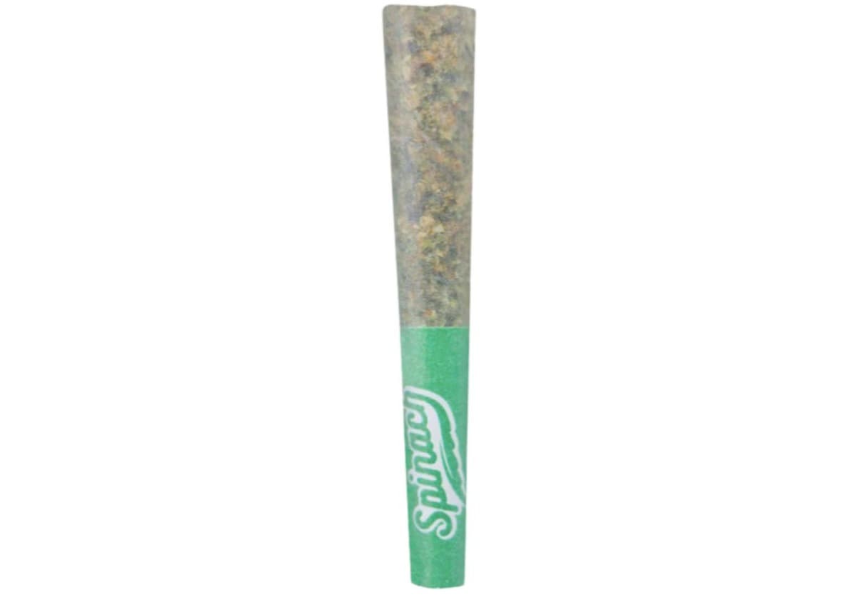 Spinach West Coast Cookies Flower - Indica