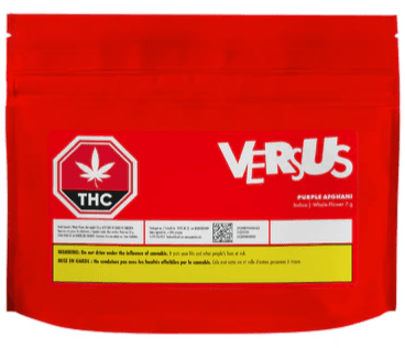 Versus Purple Afghani