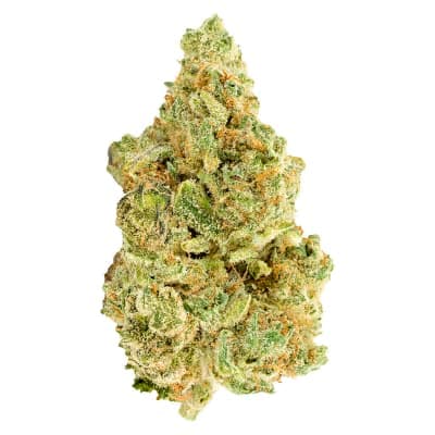 Versus White Widow