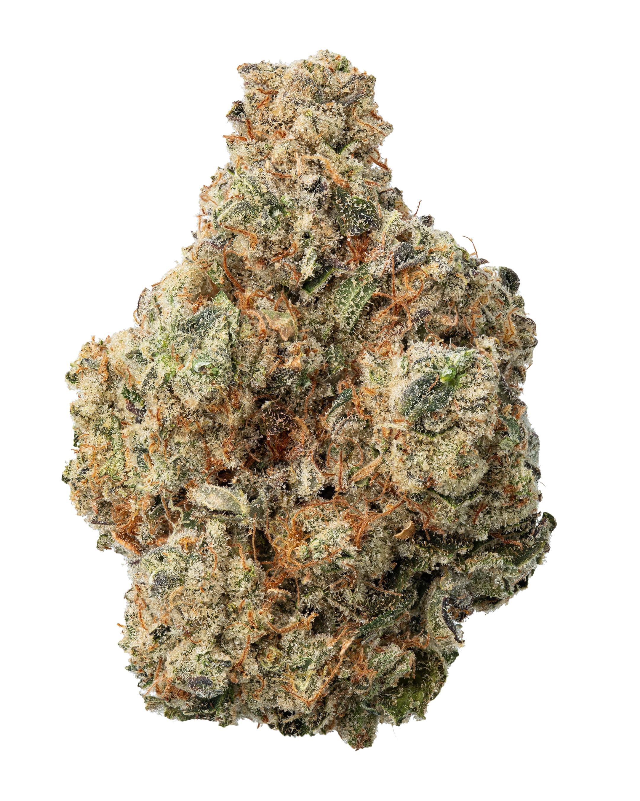 Fresh Kush Mints - Fresh