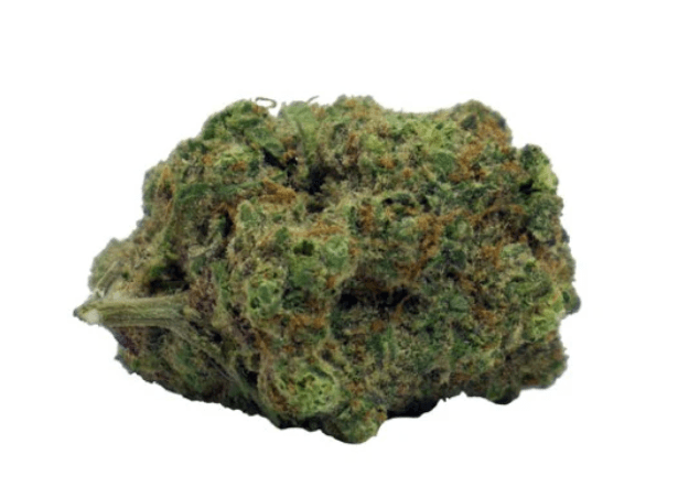 Tweed Tweed Blood Orange Kush Flower - Indica