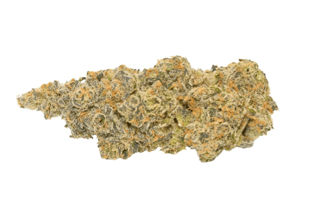 Broken Coast