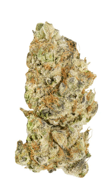 Broken Coast Broken Coast : Platinum Pave