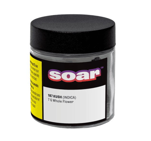 Soar 187 Kush
