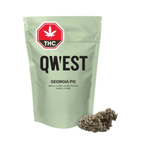 Qwest Qwest : Georgia Pie Flower