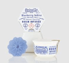Spinello Blueberry (I)