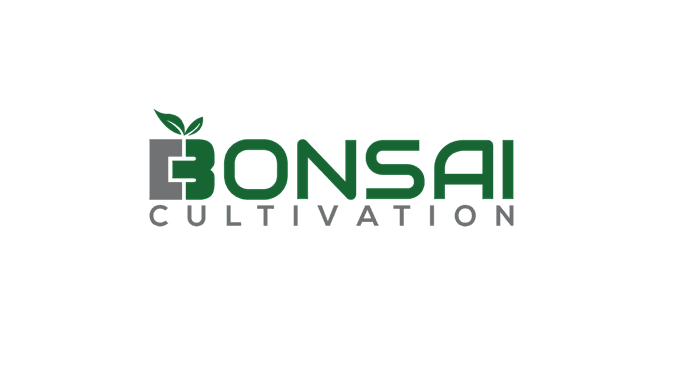 Bonsai Blueberry Muffin Pre-Roll