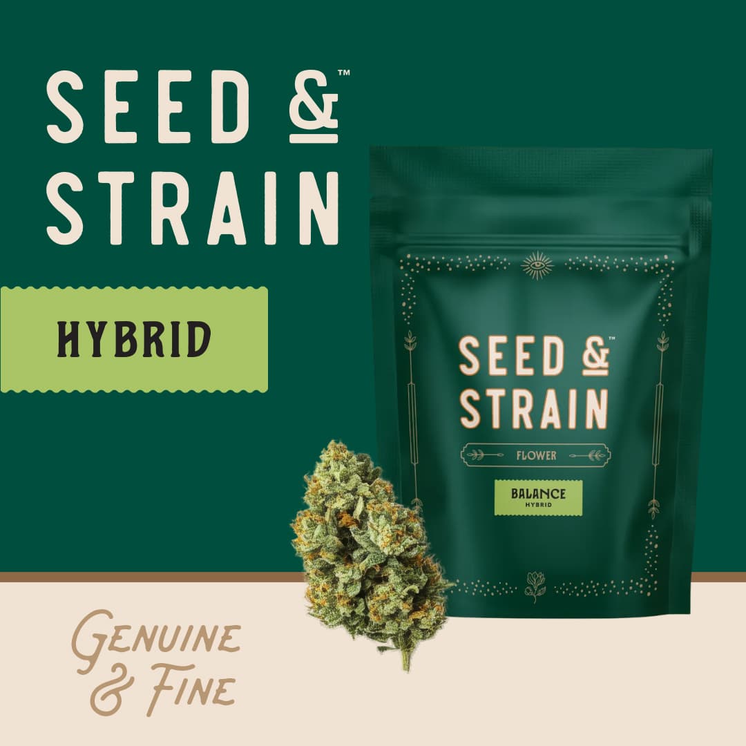 Seed & Strain