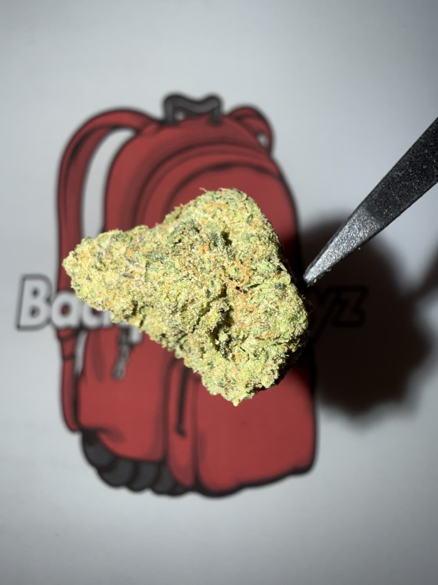 Backpack Boyz Prezzure - (H)