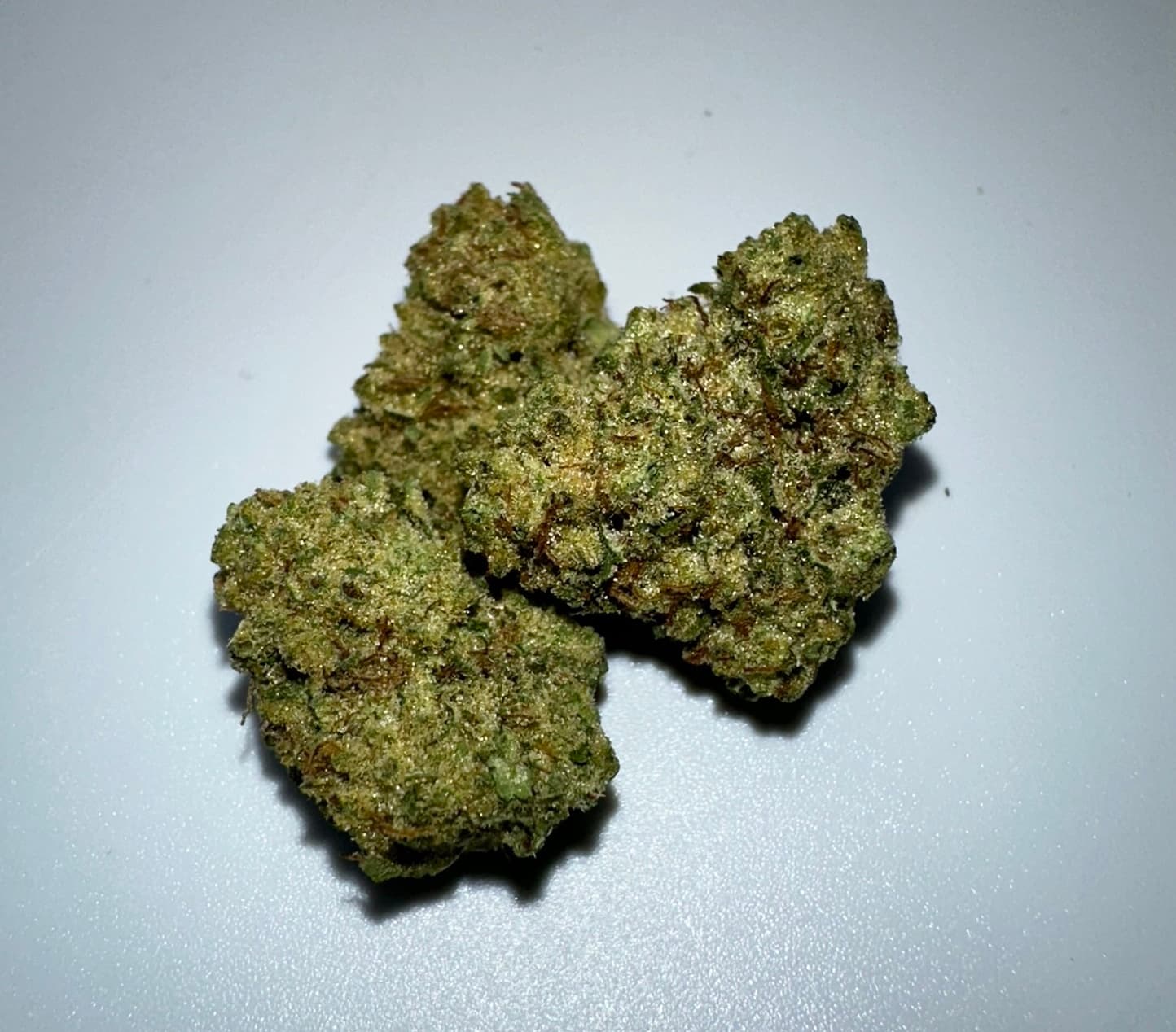 Lava Leaf