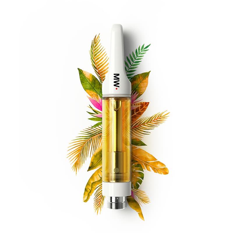 BLOOM Vapes