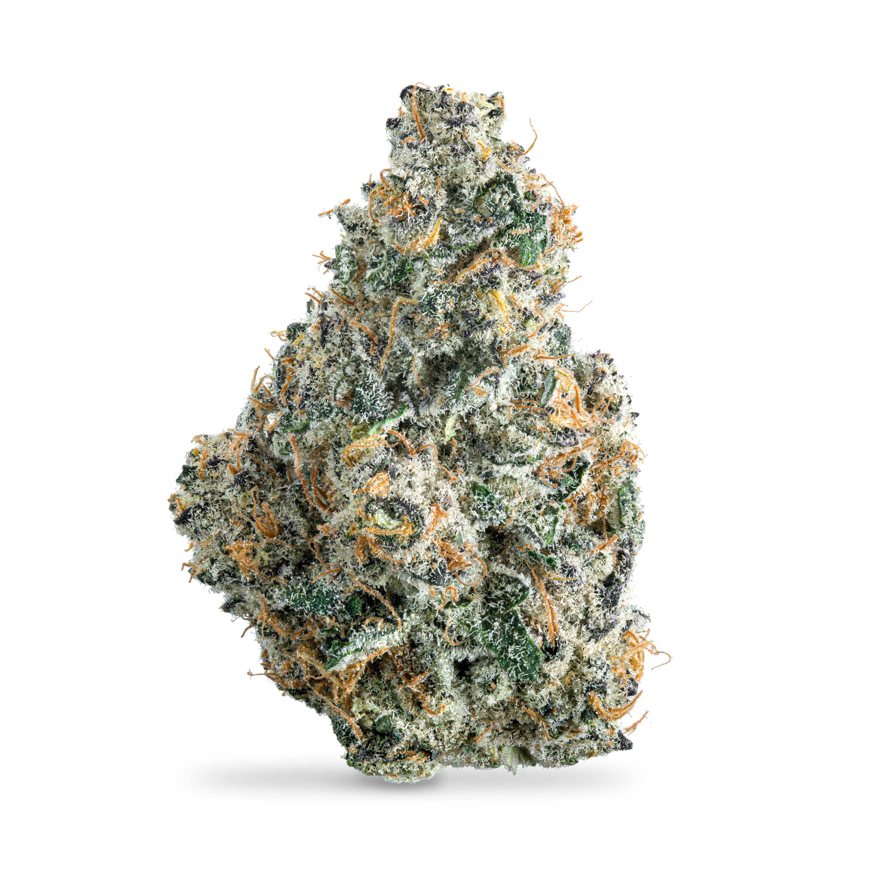 Frost Factory Moroccan Mints