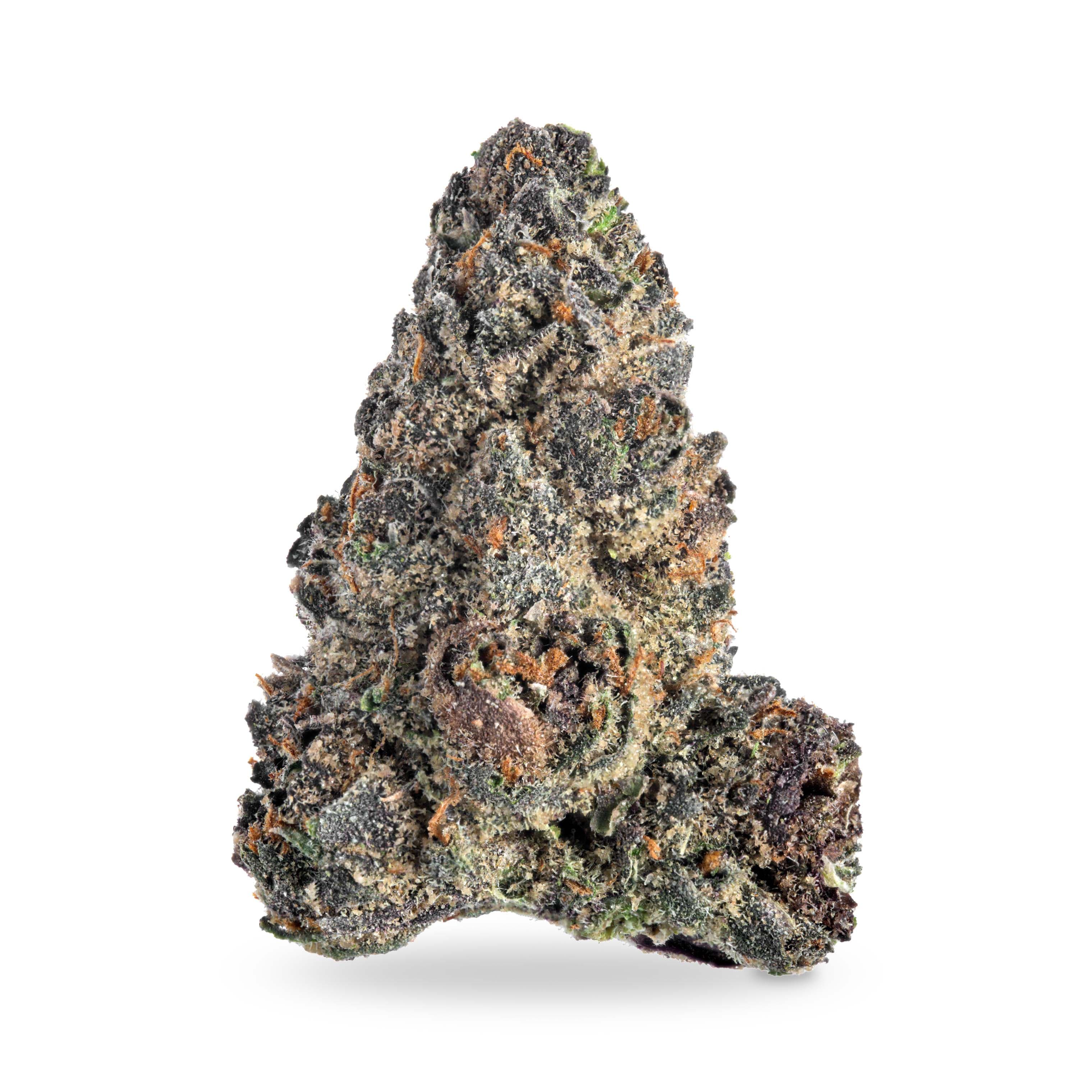 Master Grower Group Island Blendz