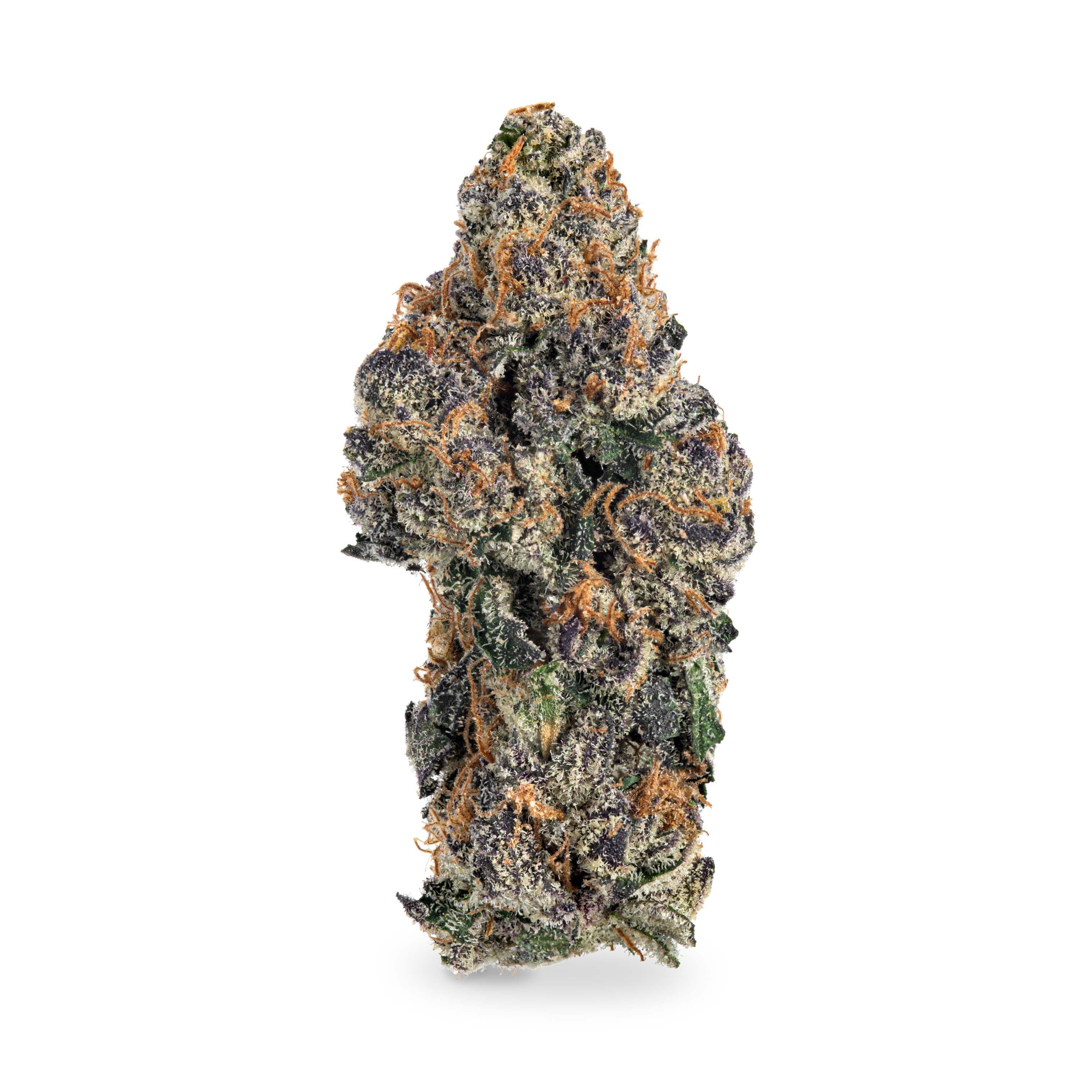 Luna Leaf Paradiso - Preroll Pack
