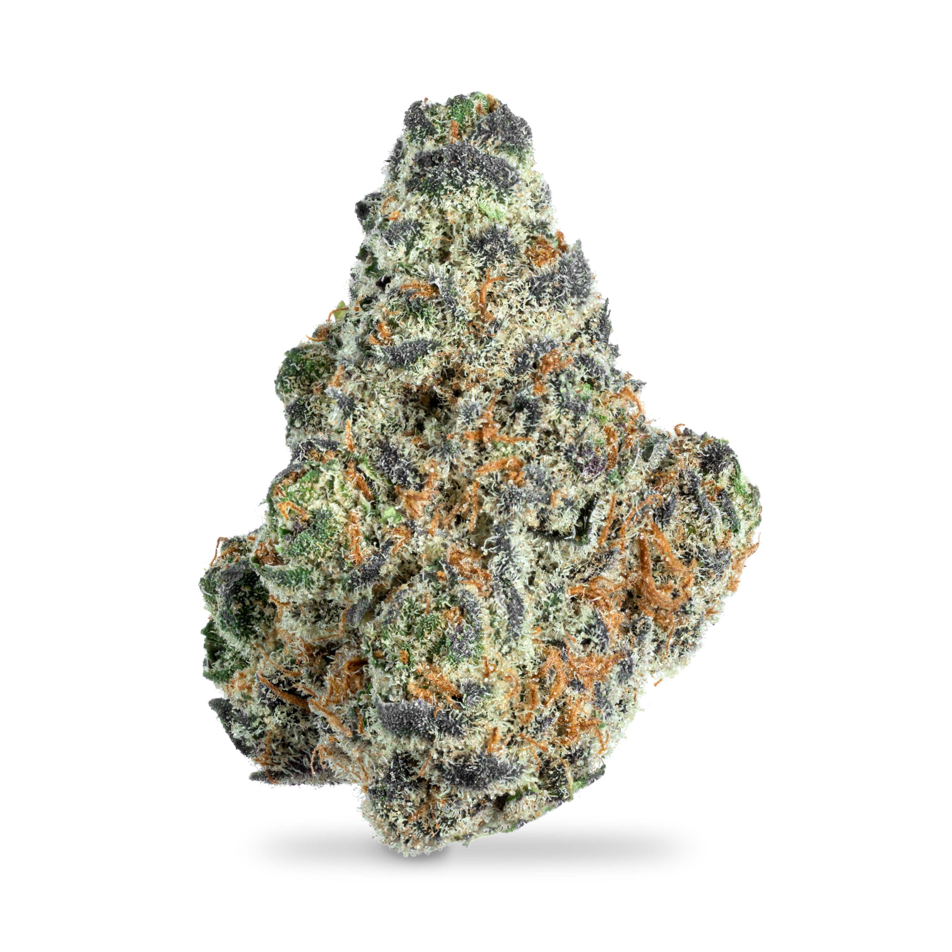 Stay High