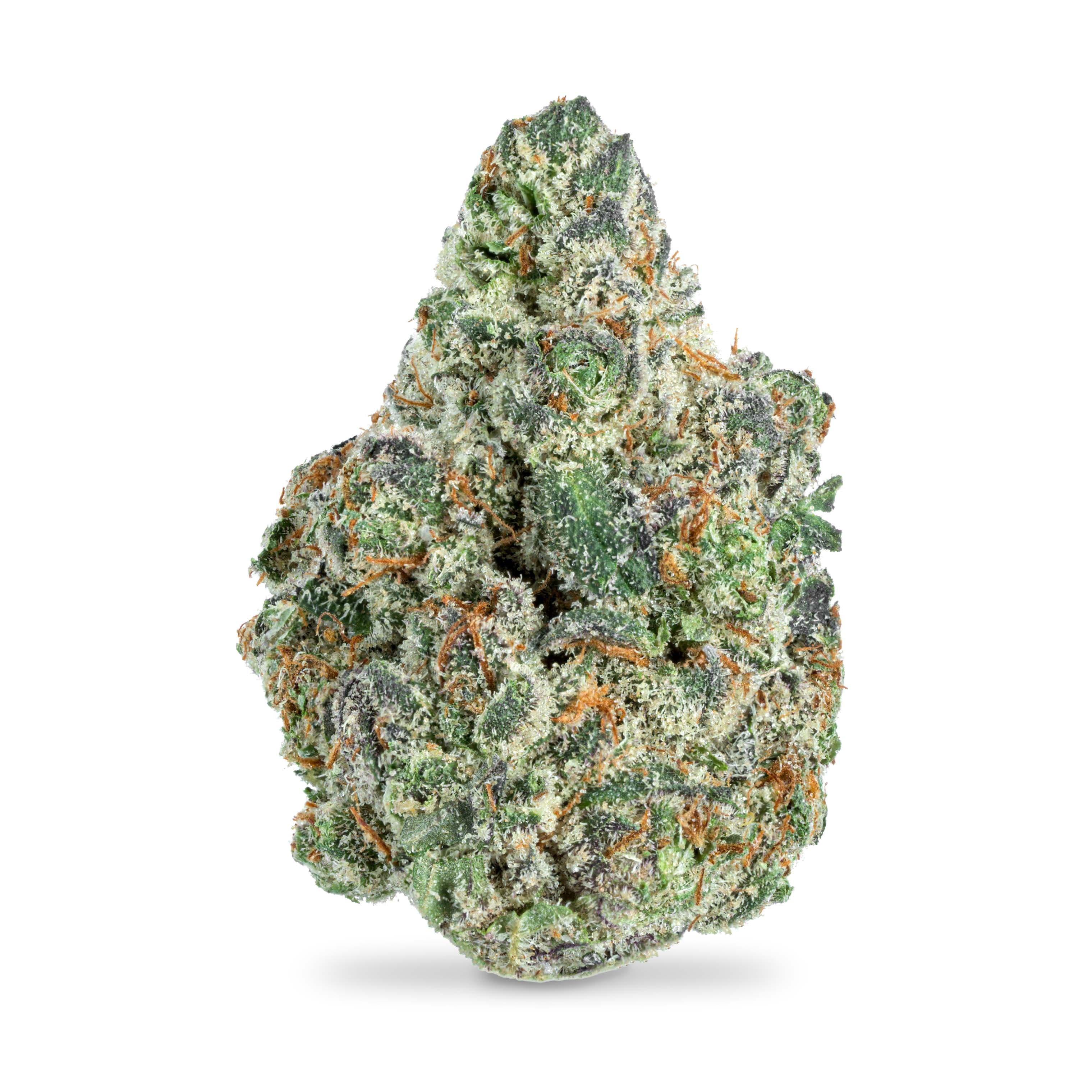 Stay High