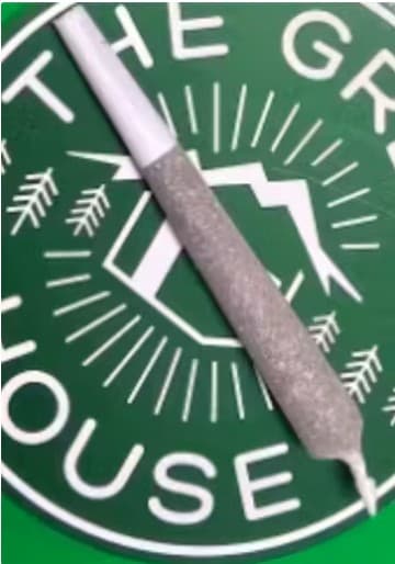 The Green House
