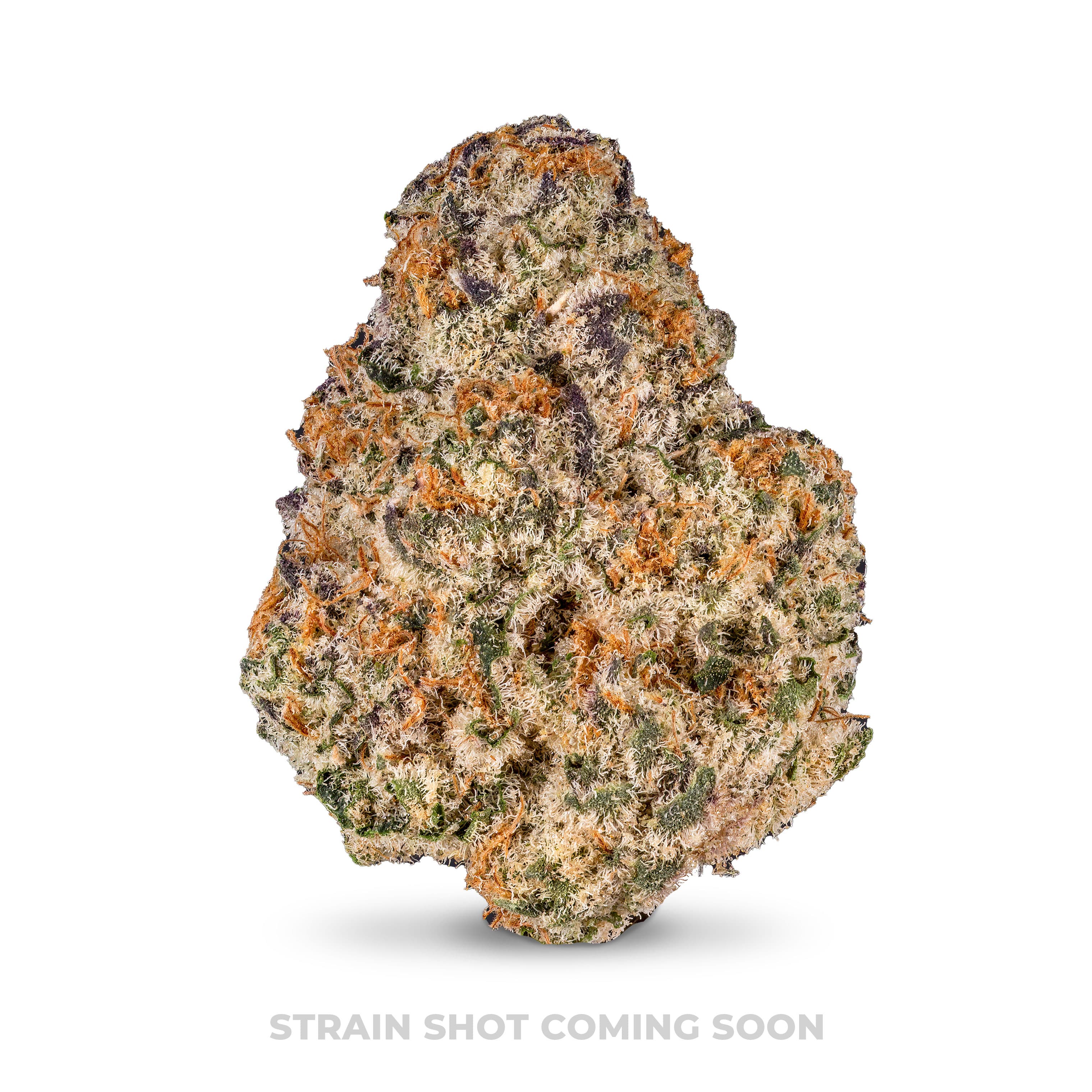 Stay High