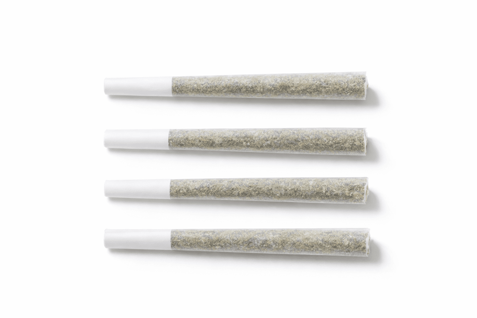 The Memo Pre-rolls