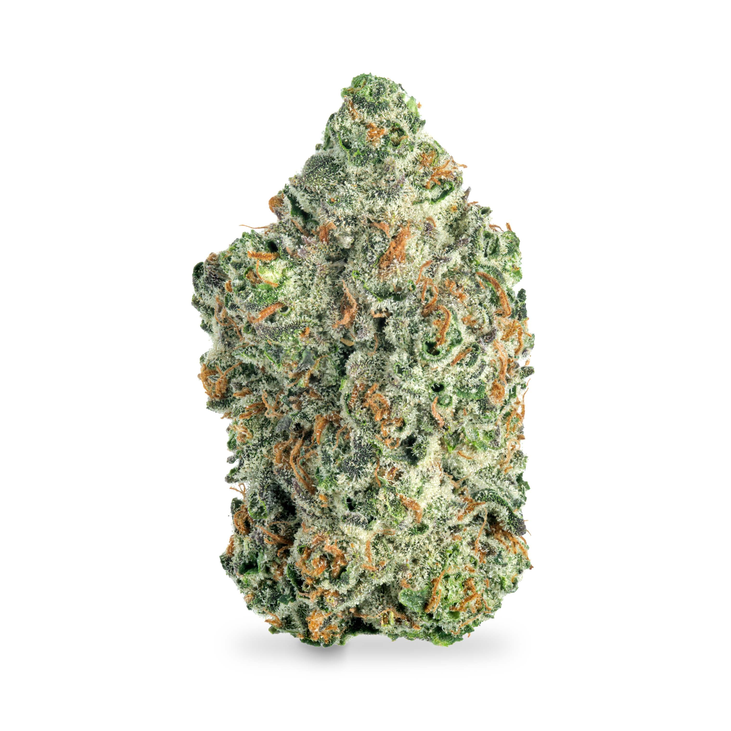Rooster Candy Apple (GH)