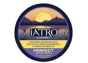 iATRO Perfect | Blackberry Lemonade I | 50MG | 10