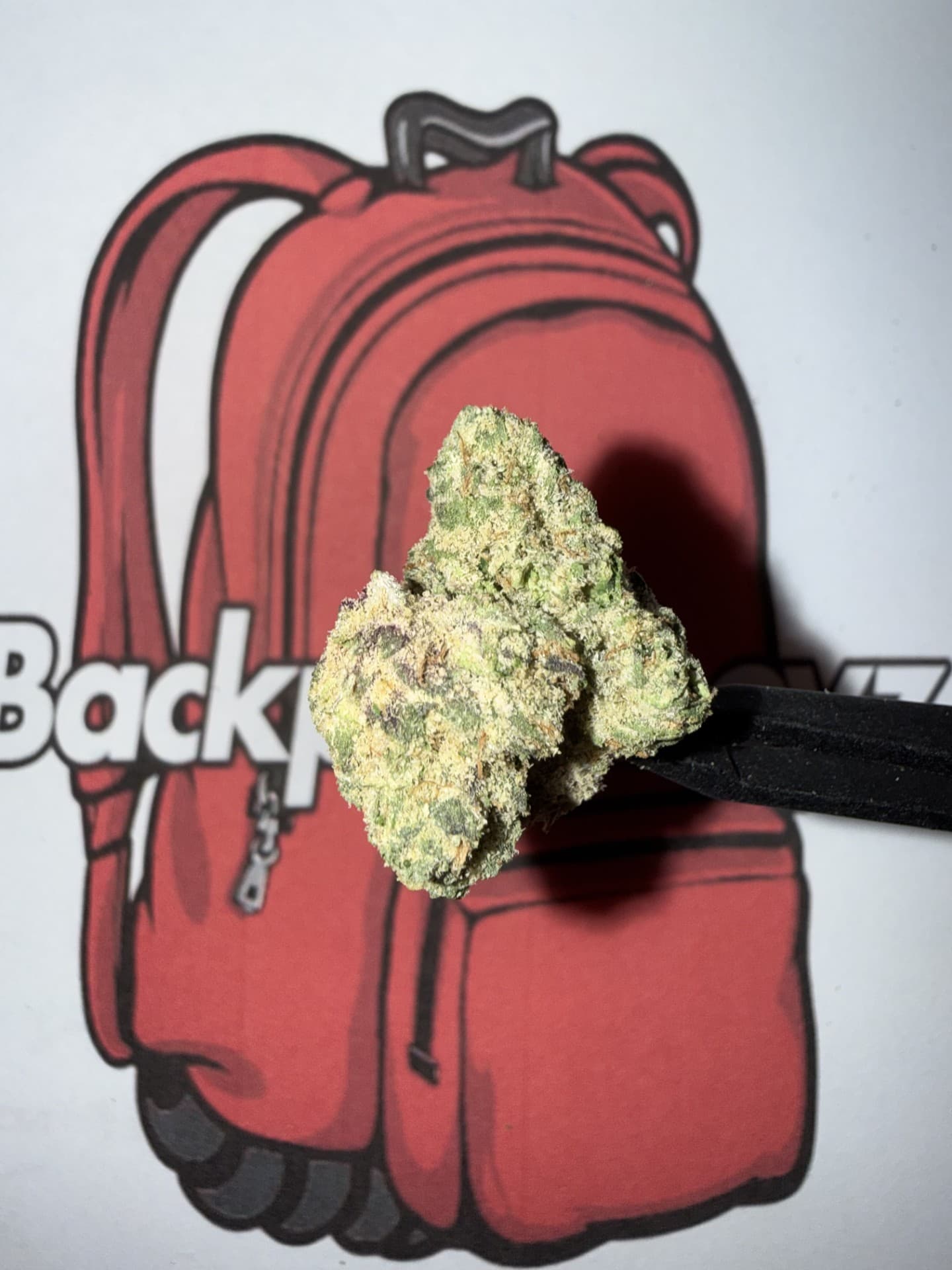 Backpack Boyz Bubblegum Gelato - (I)
