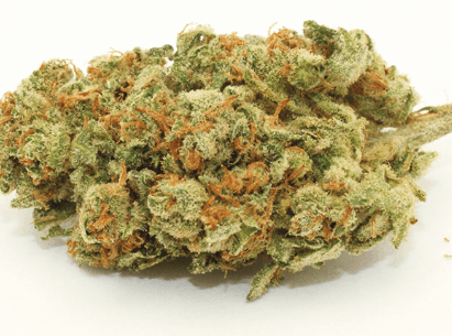The Green House $5 SPECIAL - OG Kush x Diesel - (H)