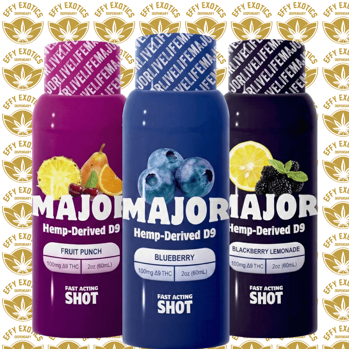 MAJOR Fruit Punch Shot | 100mg