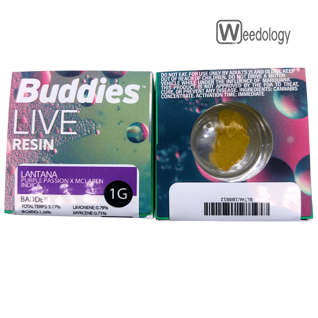 Buddies Buddies 1g LANTANA LR Badder