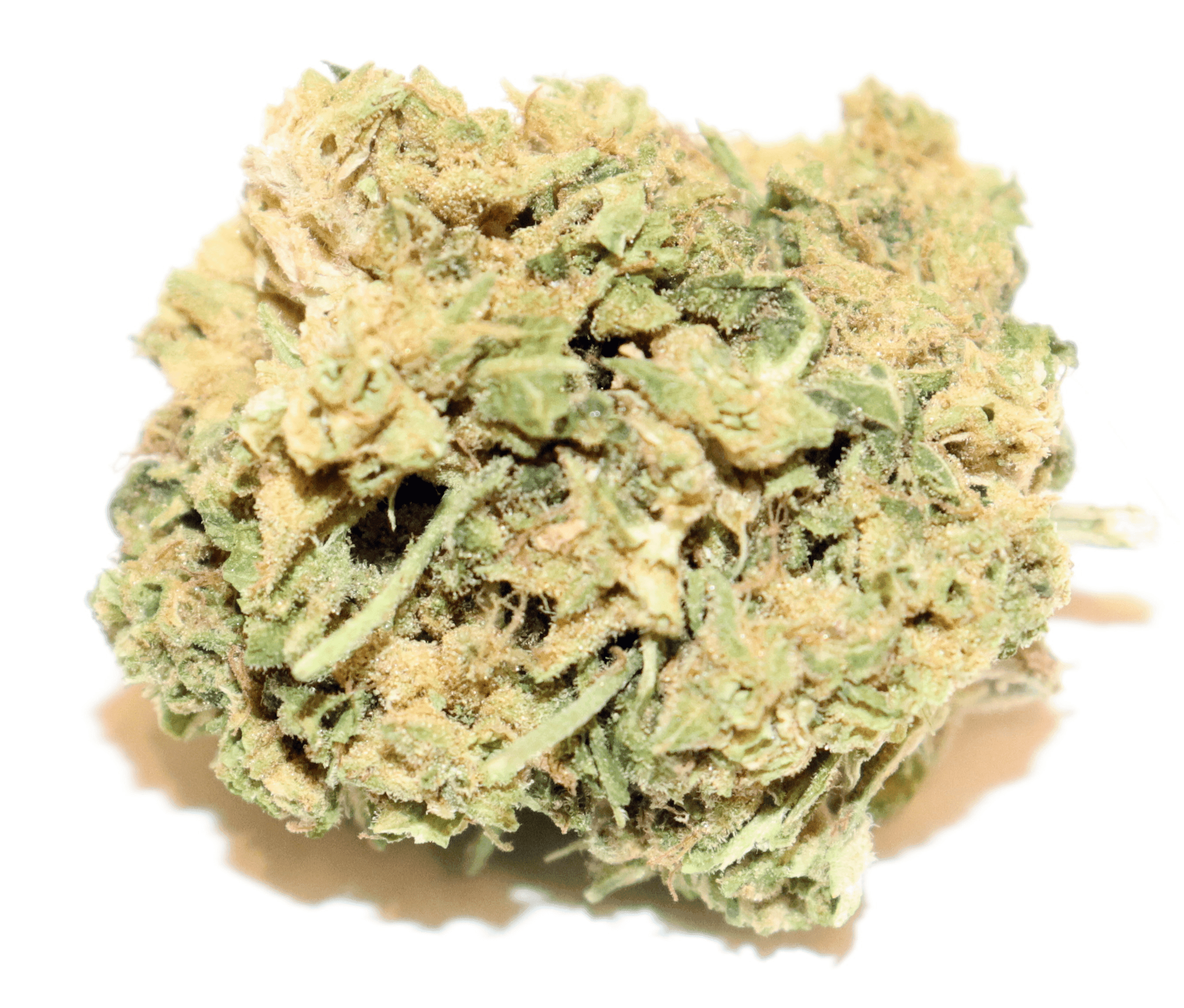 Vana Lemon Citron | Flower