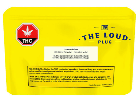 The Loud Plug