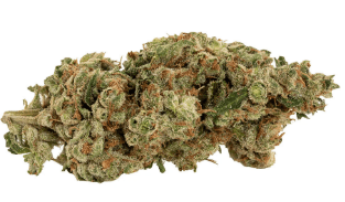 Catch Me Outside Couch Potato Flower - Indica