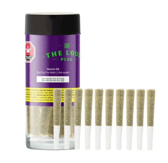 The Loud Plug