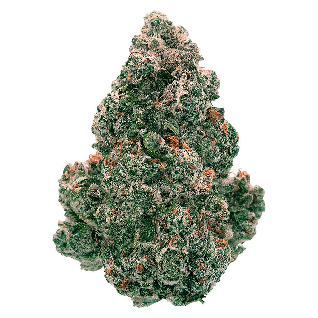 Back Forty Liquid Imagination - Back Forty - Dried Flower