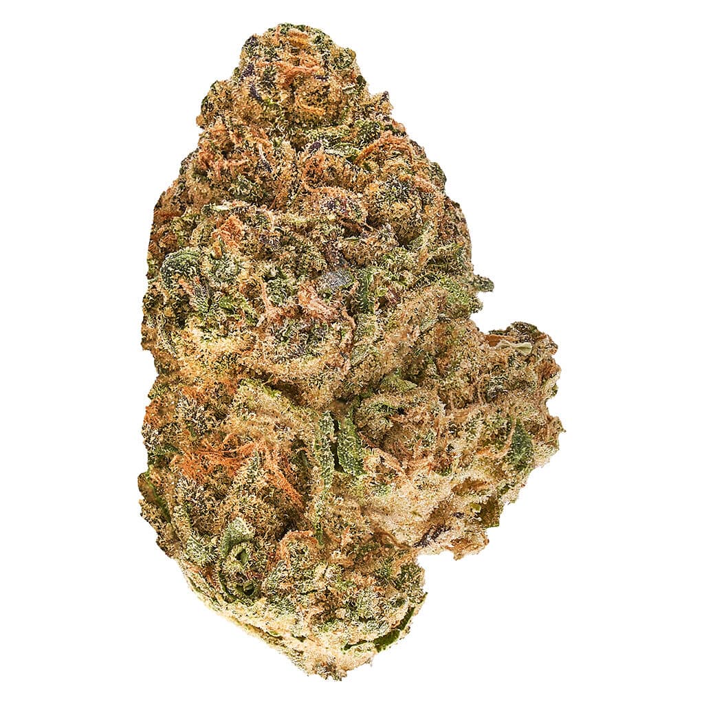 Redecan Redecan Animal Rntz