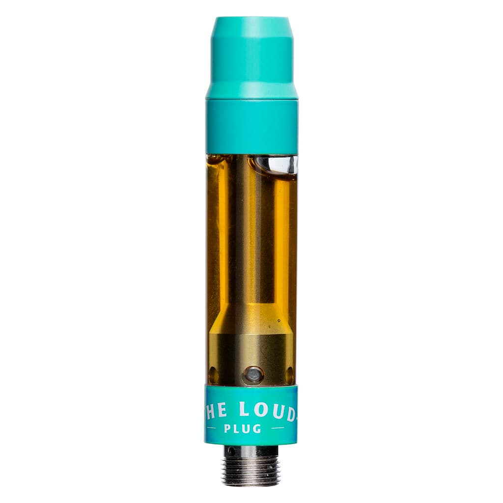 The Loud Plug