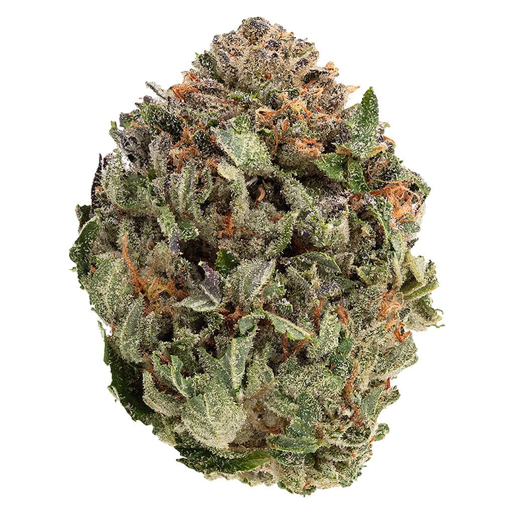 1964 Organic Comatose Flower - Indica