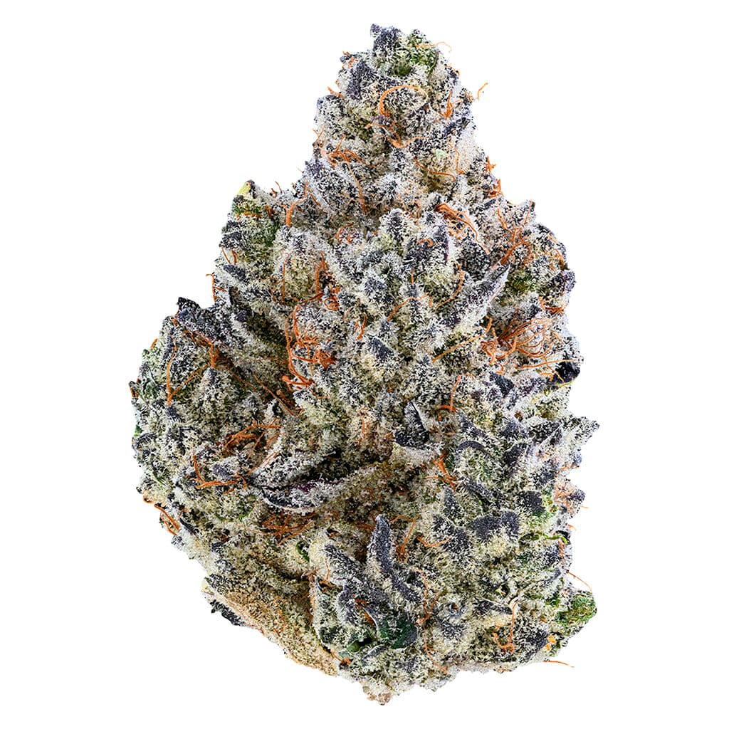 Tribal Bubble Up Flower - Indica