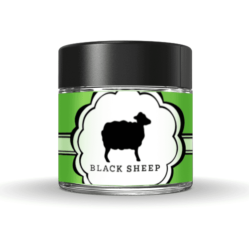 Black Sheep