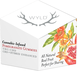 Wyld Real Fruit Pomegranate 1:1 Soft Chews | 2-pack