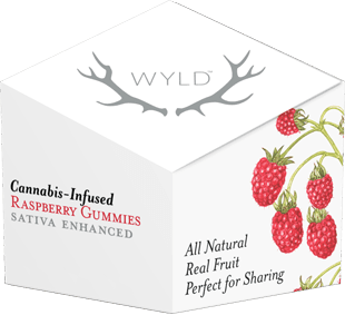 Wyld Real Fruit Raspberry Soft Chew | 2-pack