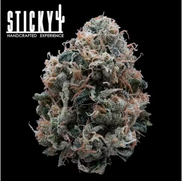 STICKY