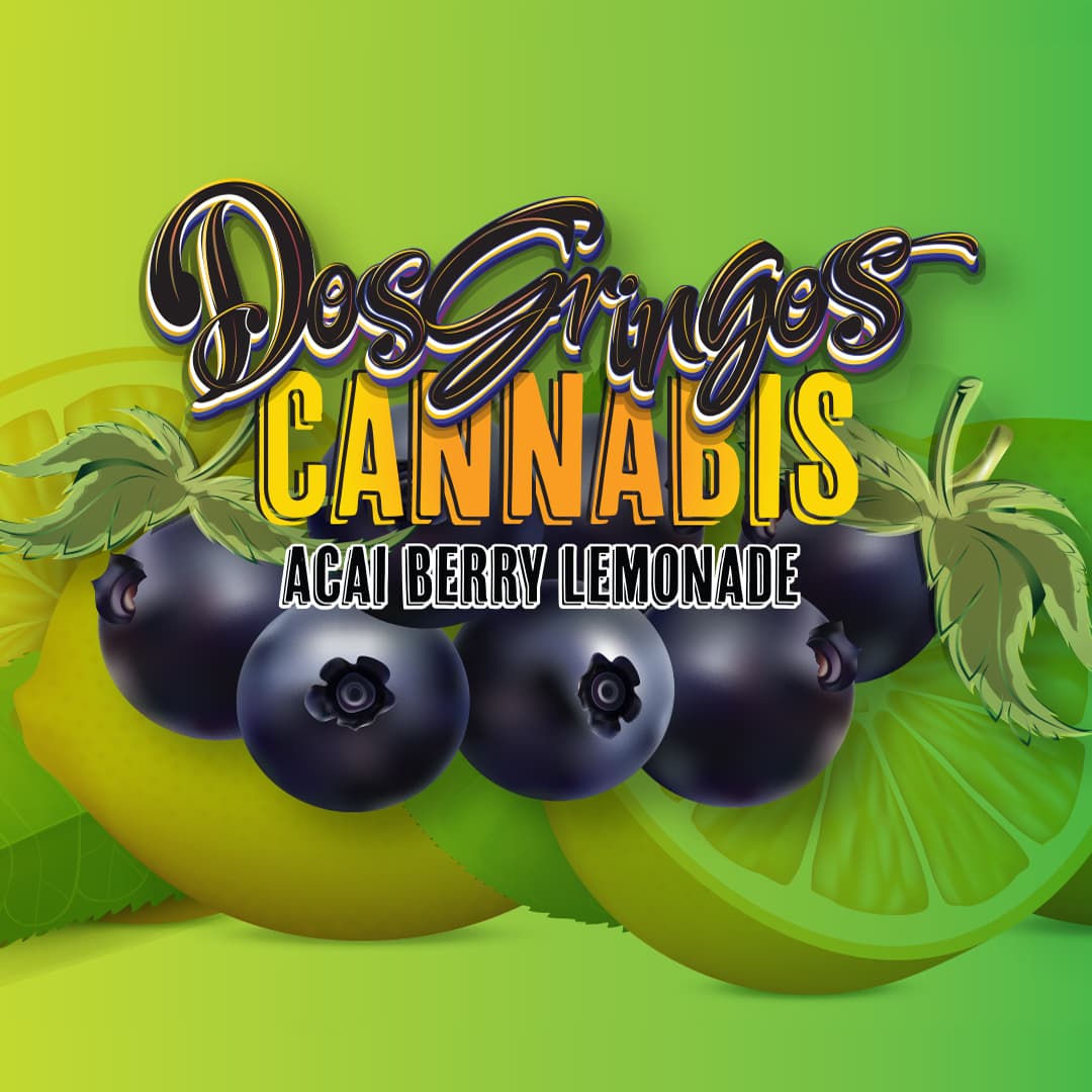 Dos Gringos Acai Blackberry Lemonade | 100mg
