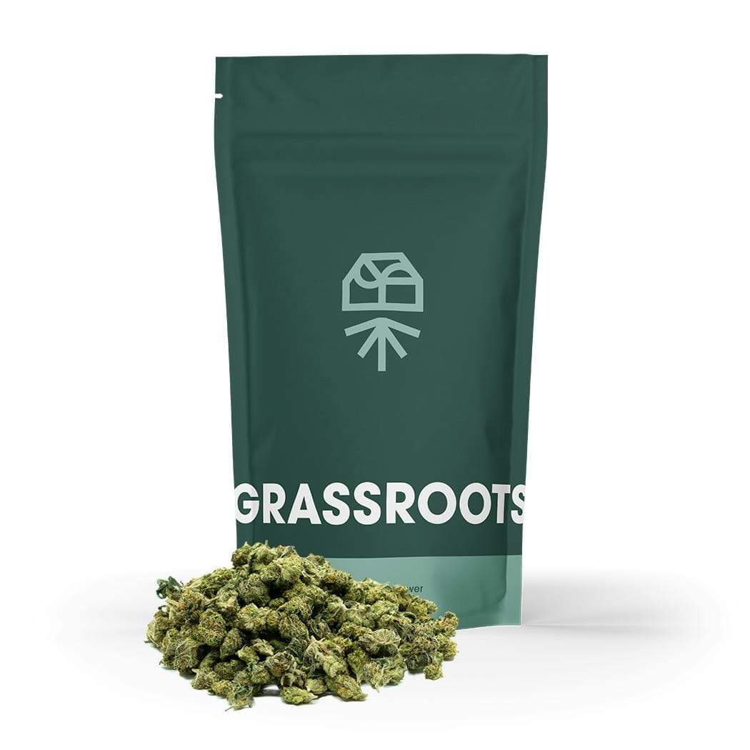 Grassroots Papaya Drip