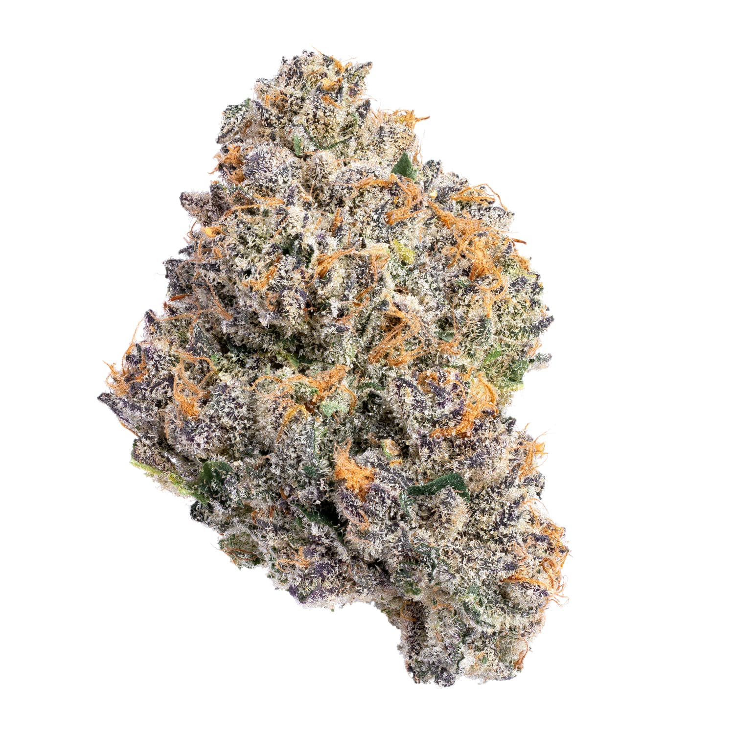 Wizard Trees Rainbow RZ Flower