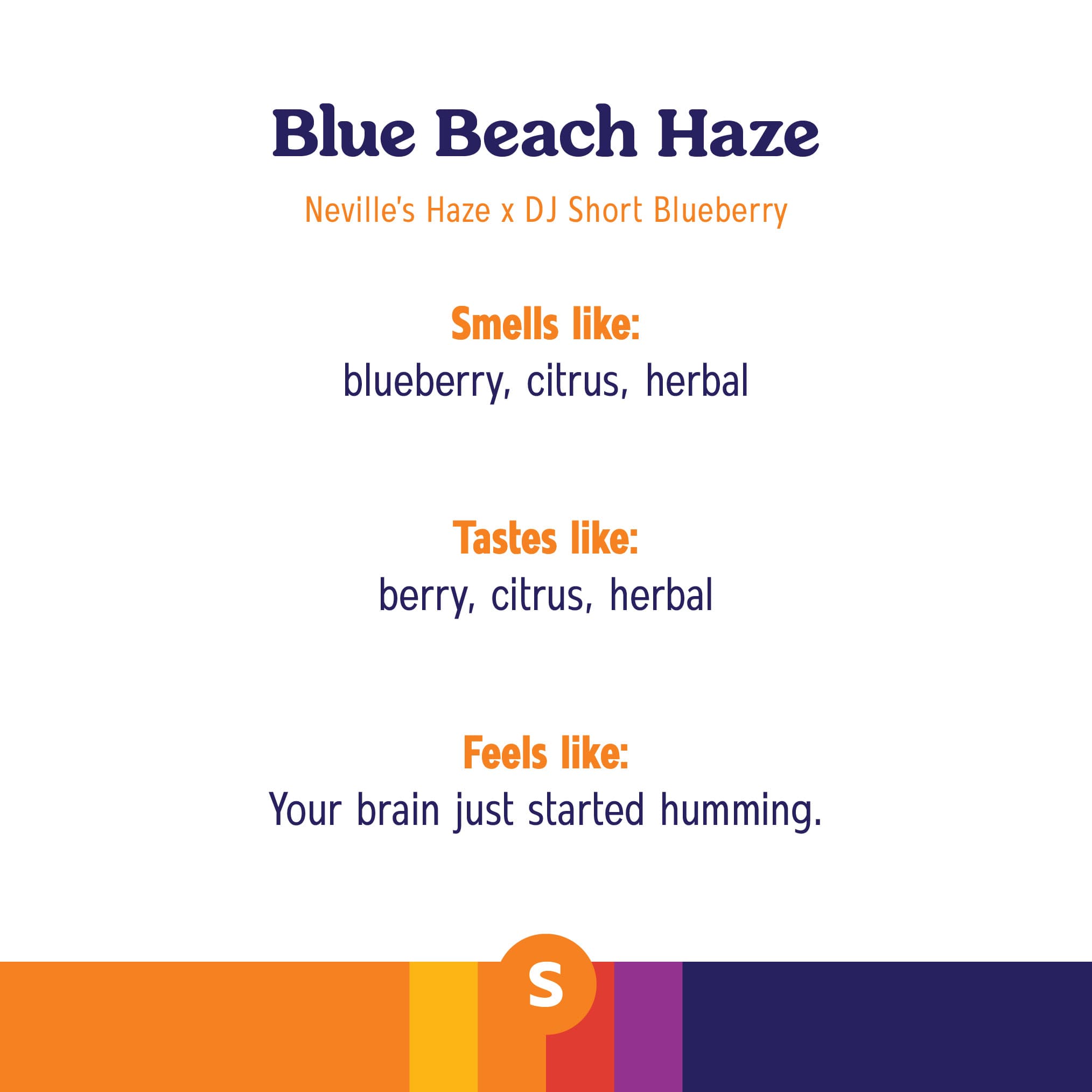 Roll One Blue Beach Haze Crumble