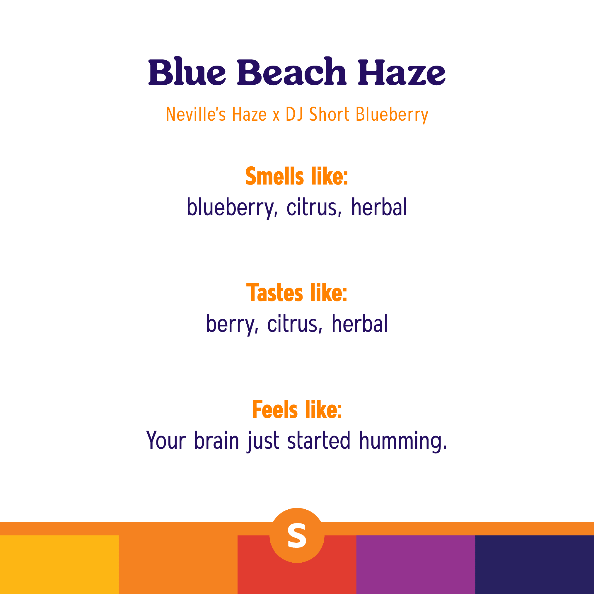 Roll One Blue Beach Haze Pre-Roll