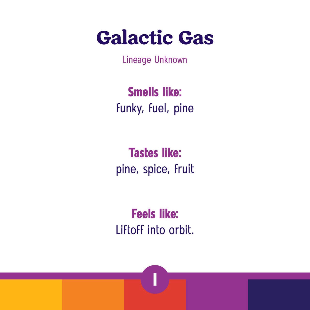 Roll One Galactic Gas Infused Ground